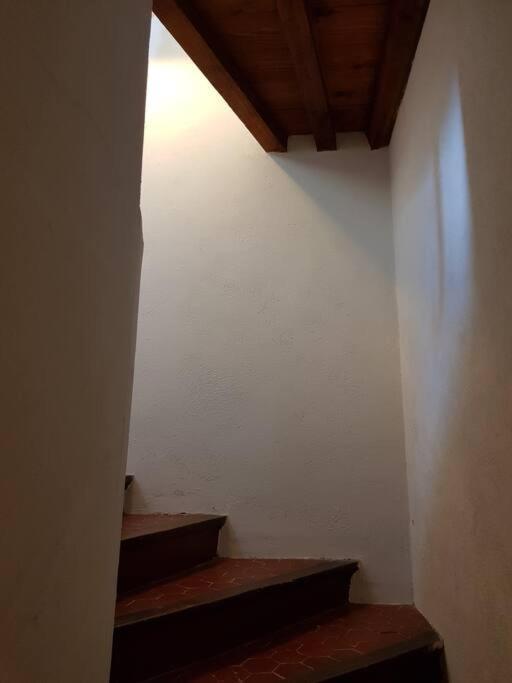 Appartement Pres Des Plages Du Mourillon Тулон Экстерьер фото